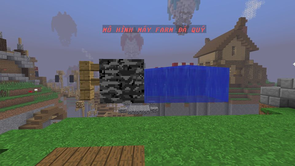 20447