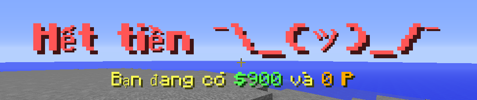 20657