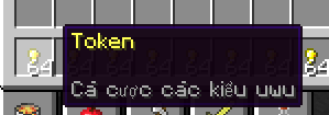 20658