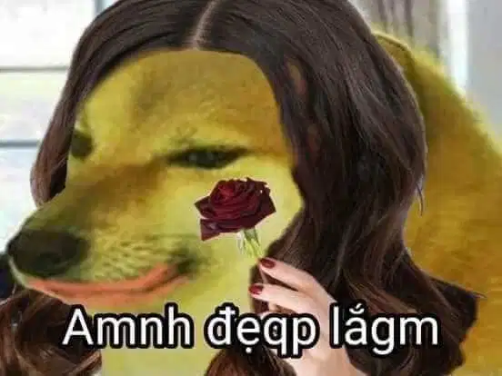 22457