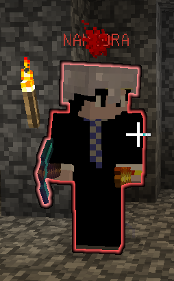 24463