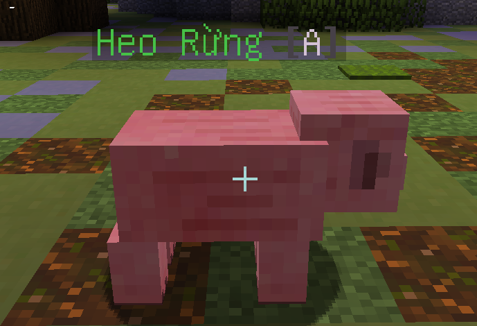 24570