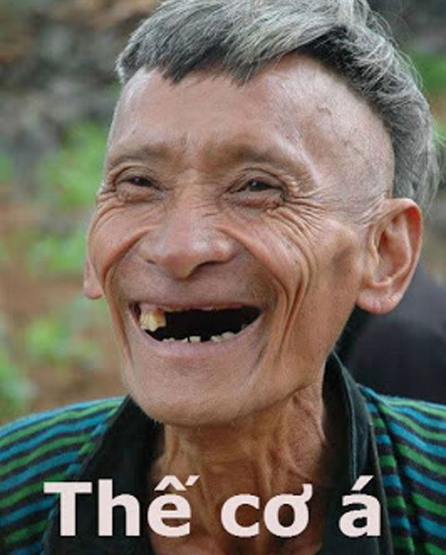25058