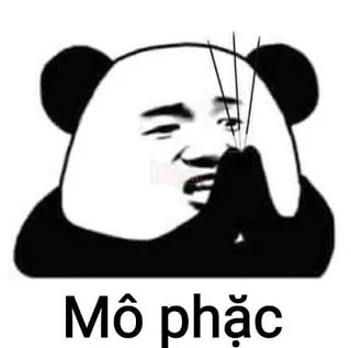 25348