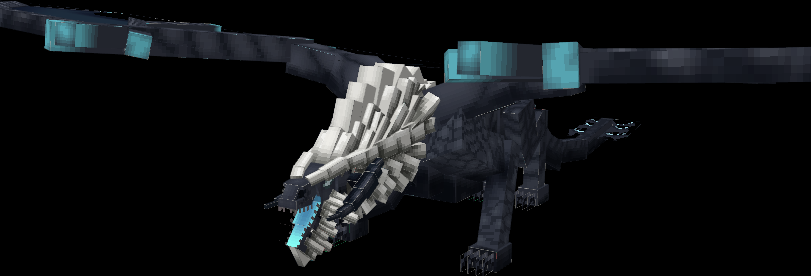 25564