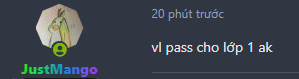 26081