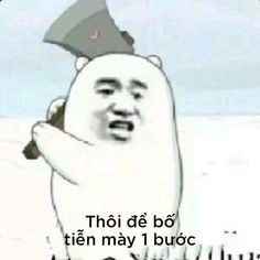 26248
