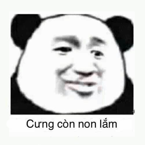30529