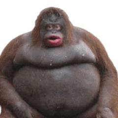 36289