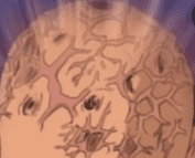 41456