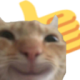 45865