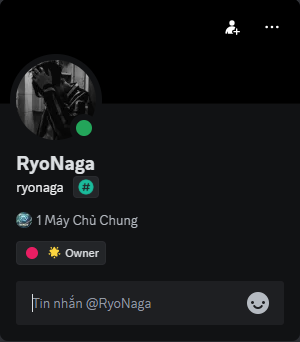 48291