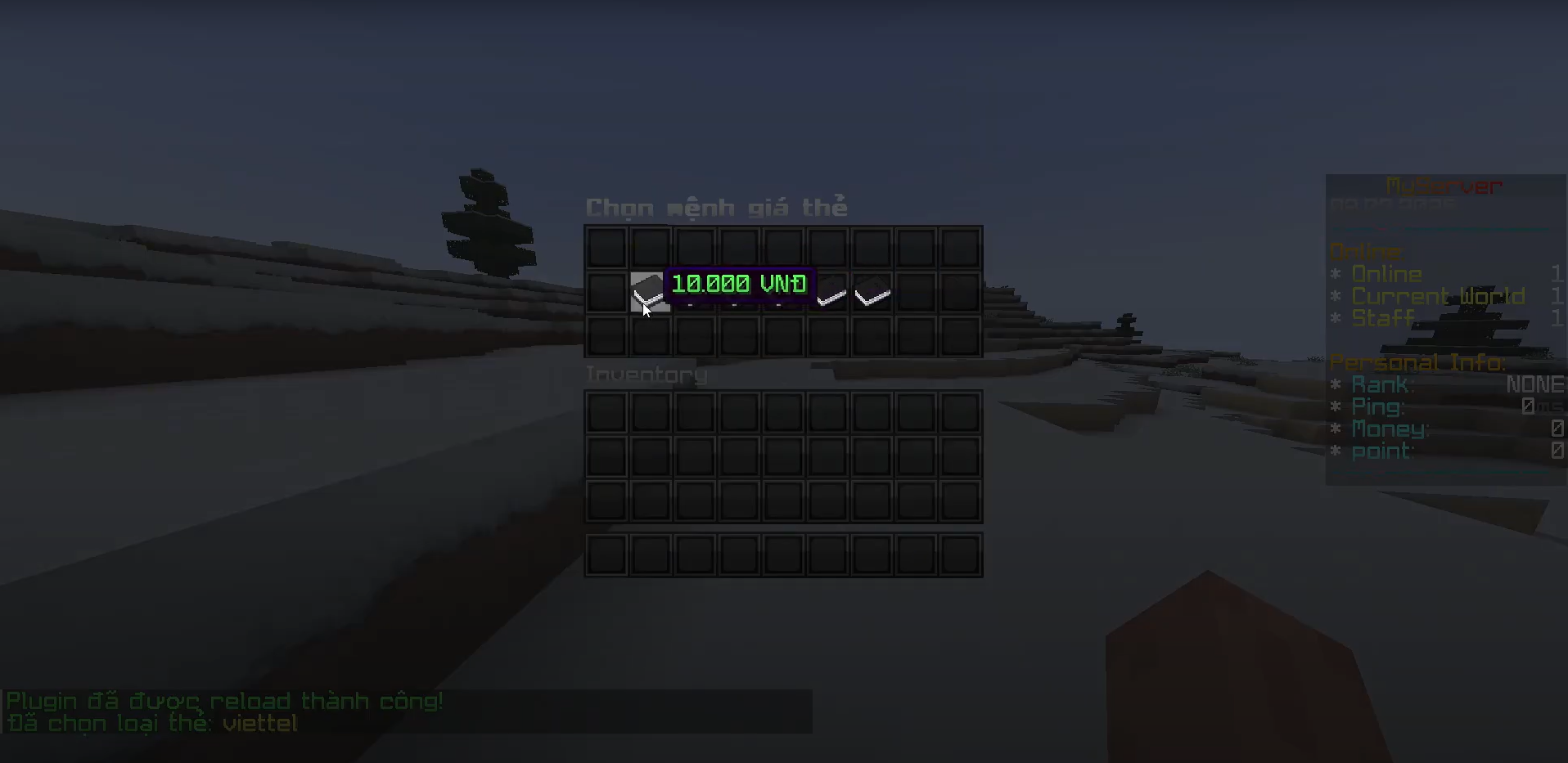 48919