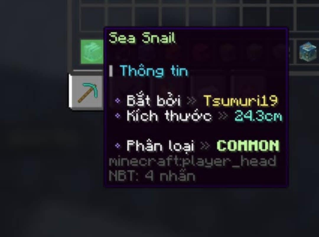 49097