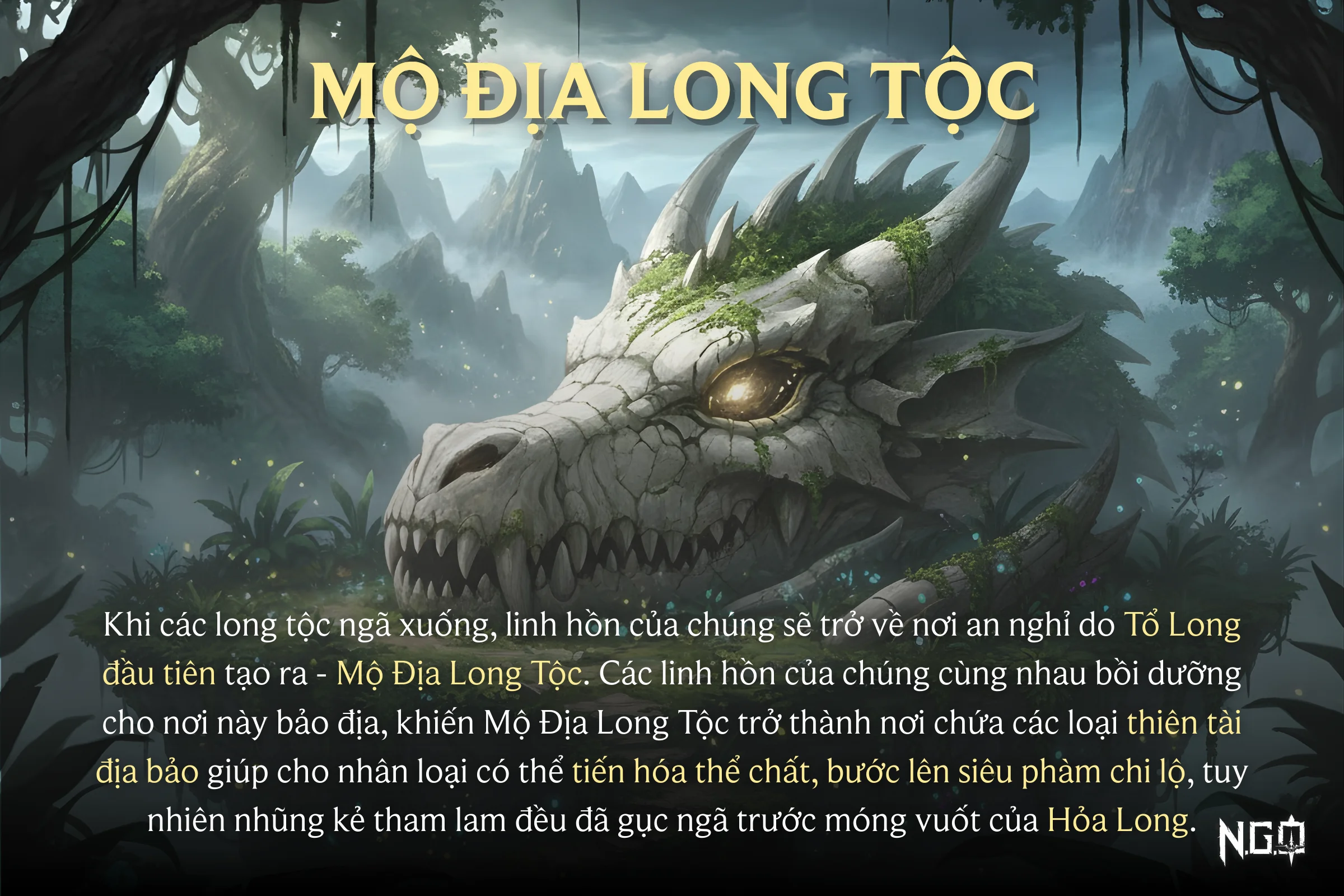 1768101211165.webp