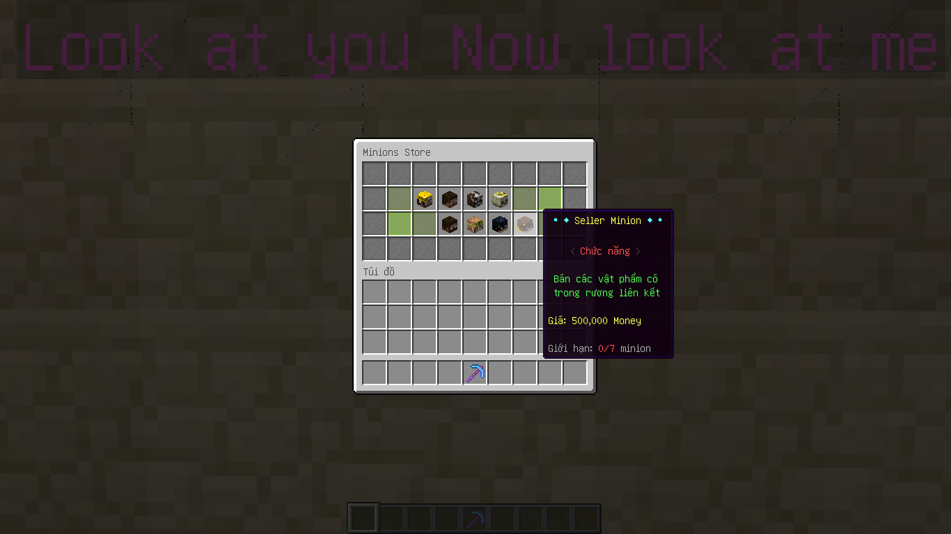 23584