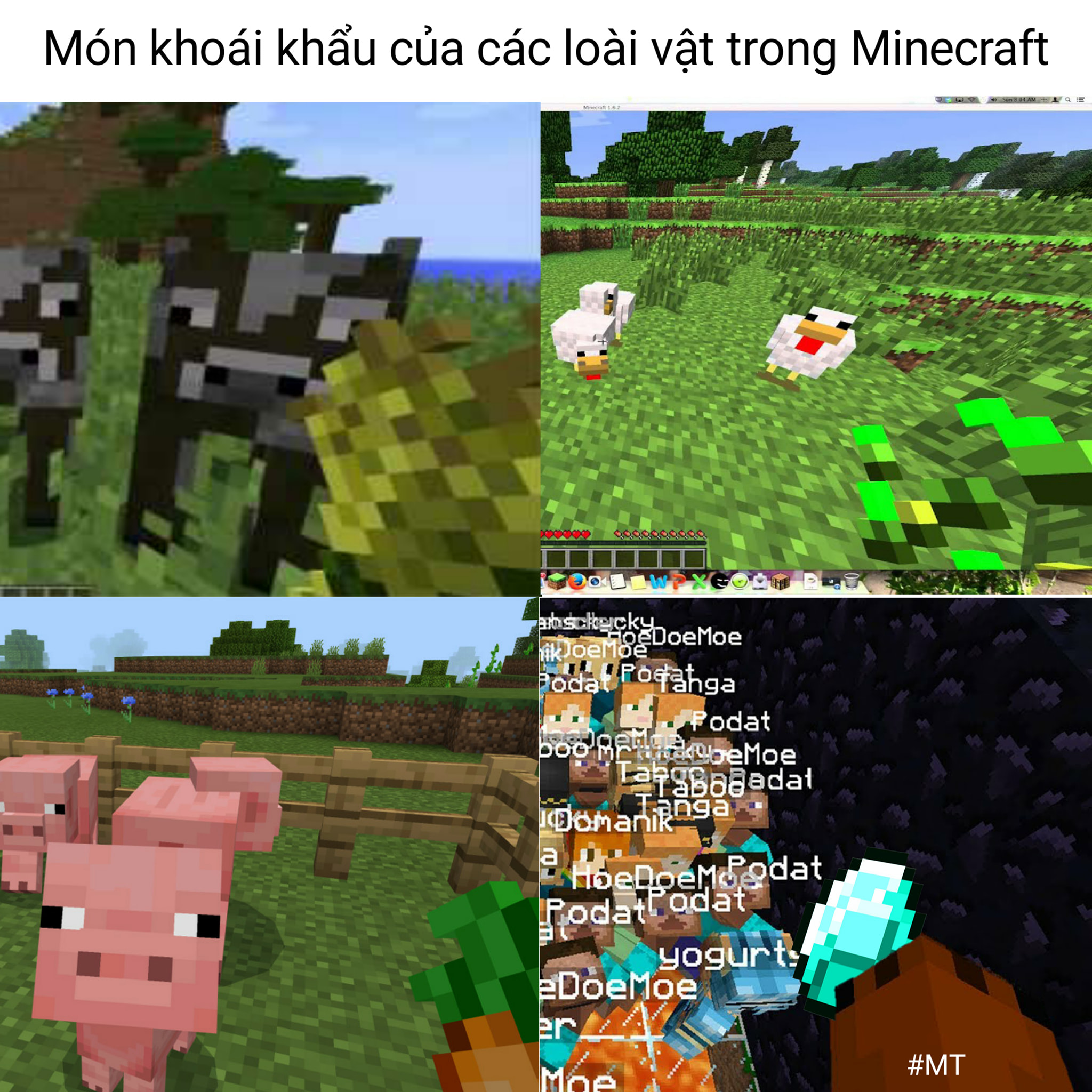 20751