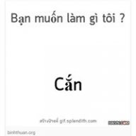sasa