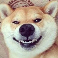 Con Cac Con Cac cc c cccc