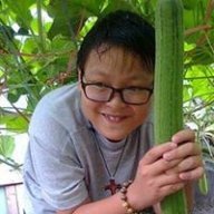 minh hoang le
