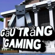gấu
