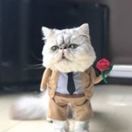 NMHowl