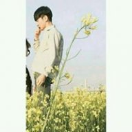 Nam Dương