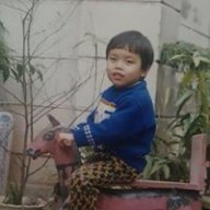 le trung