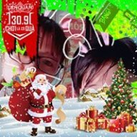 NTH_Hoang