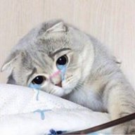 Ninhsenpai