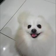 SaiigonnBoii