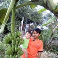 Duy2019hihi