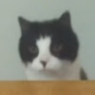 JustSmort