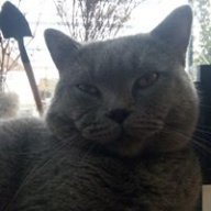 tranquoctoan06121995