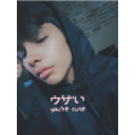 LoginBqllen