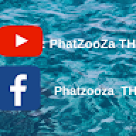 PhatZooZa