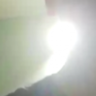 Nesi