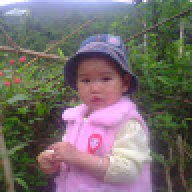 tùng dương dẹp zai