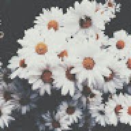 Tôi Không Có Tên