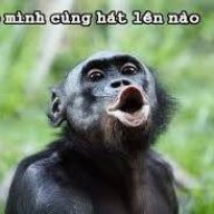 Phạm Đức Việt