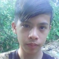 nguyenleanhvu