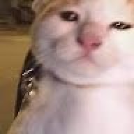 PeoBlue