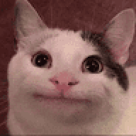 HSte
