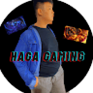 HagaGaming