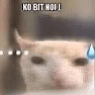 Hyntez