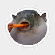 khangtran01569