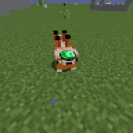 FOXNOTPRO