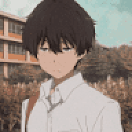 RayVN
