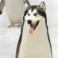 noobMTV