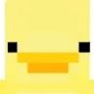 Duck11111